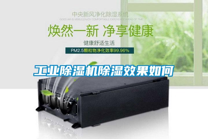 工业草莓视频黄色在线观看机草莓视频黄色在线观看效果如何
